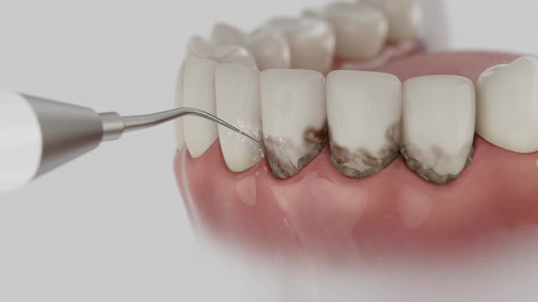 Reliable Dental contractor in Elwood, IL by Dentist Open Now